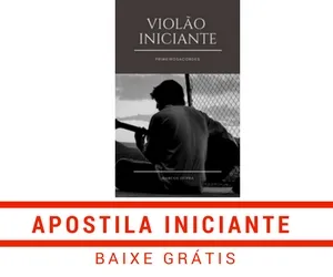 apostila iniciante