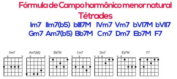 Aula Primeiros Acordes
