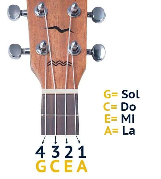 Aula Primeiros Acordes