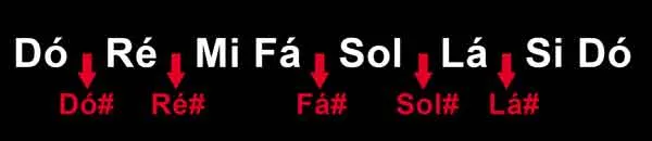 Aula Primeiros Acordes